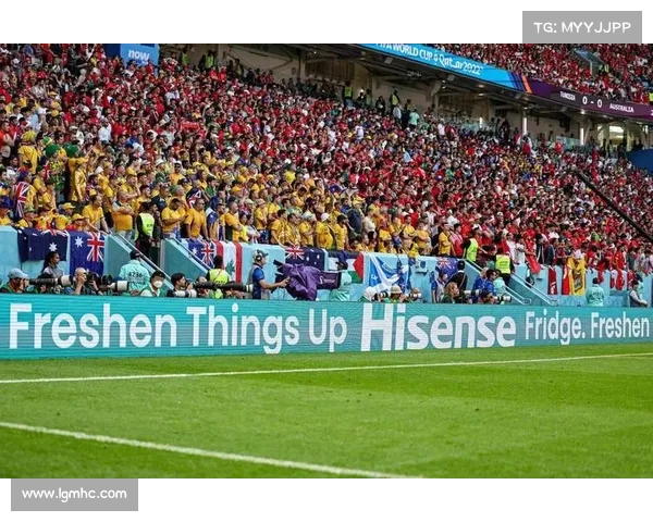 突尼斯力争胜利晋级世界杯 特拉贝西发出全队出线动员令